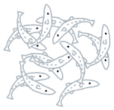 fish_shirasu
