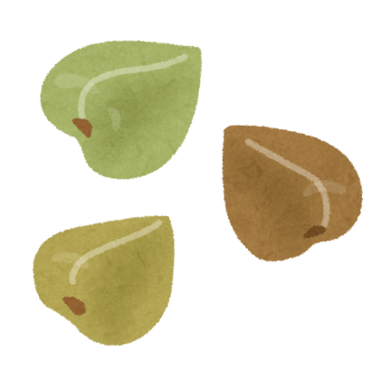nuts_sobanomi