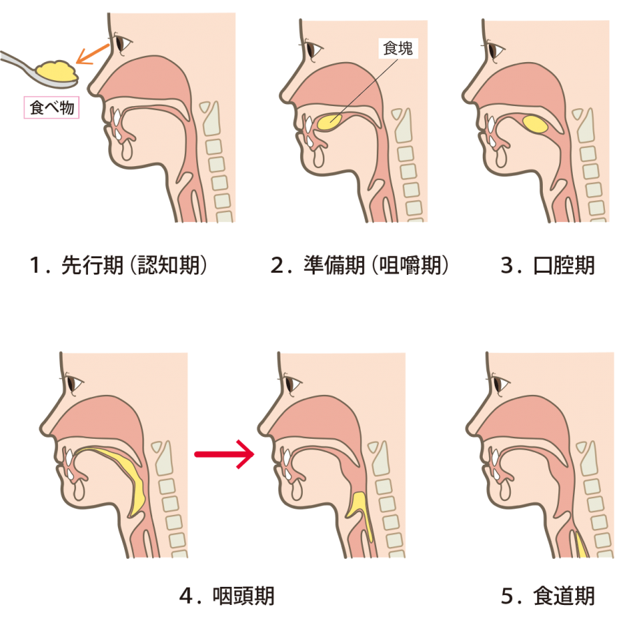 swallowing-five