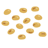 vegetable_daizu-1