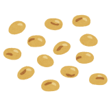 vegetable_daizu1