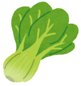 vegetable_komatsuna-2